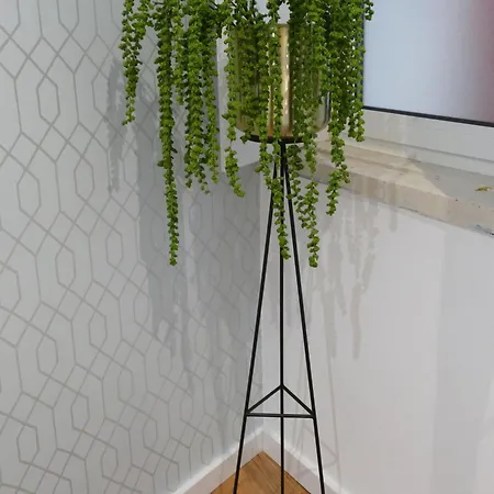 Eça - Centro Histórico Alojamento de Acomodação e Pequeno-almoço *