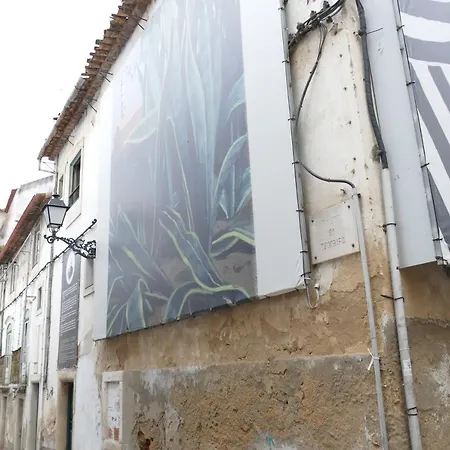 Alojamento de Acomodação e Pequeno-almoço Eça - Centro Histórico *