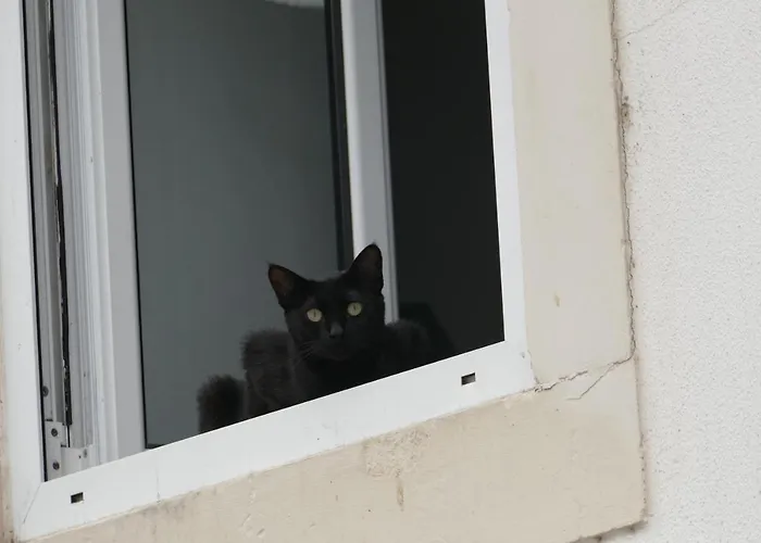 Eça - Centro Histórico Alojamento de Acomodação e Pequeno-almoço