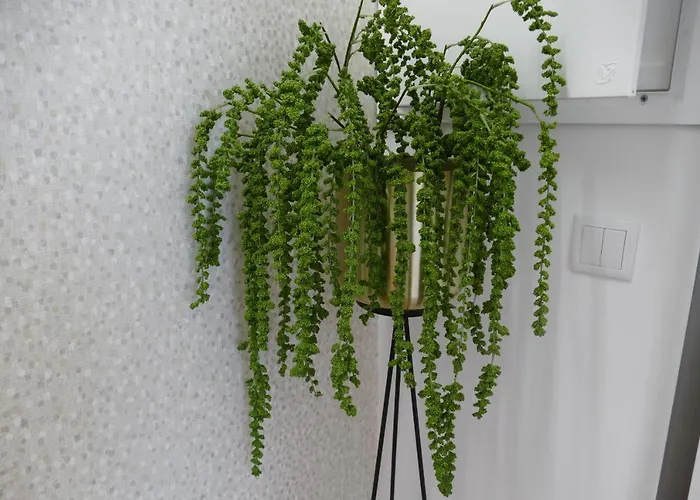 Eça - Centro Histórico Leiria